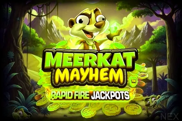 Meerkat Mayhem