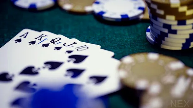 Live Casino 4